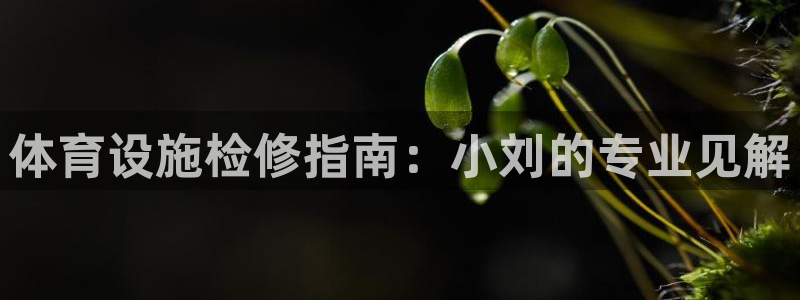 意昂3集团简介：体育设施检修指南：小刘的专业见解