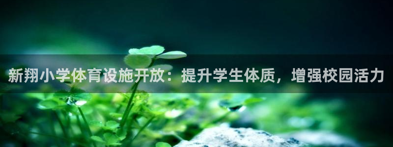 意昂3娱乐首页网站大全：新翔小学体育设施开放：提升学
