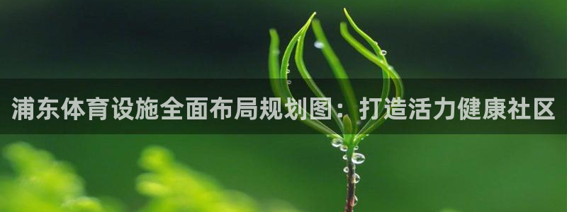 意昂体育3开户：浦东体育设施全面布局规划图：打造活力