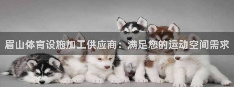 意昂体育3招商电话是多少啊：眉山体育设施加工供应商：