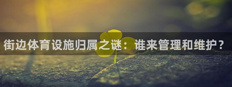 意昂体育3平台注册流程图：街边体育设施归属之谜：谁来