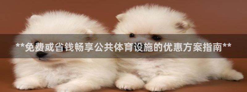意昂3新能源：**免费或省钱畅享公共体育设施的优惠方