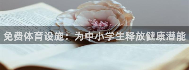 意昂体育3招商电话：免费体育设施：为中小学生释放健康
