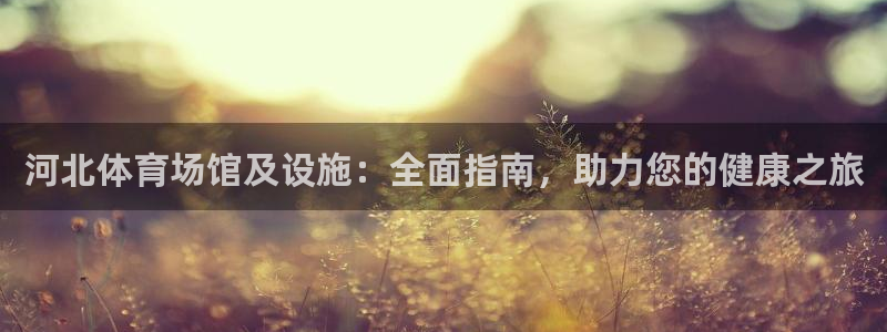 意昂3集团：河北体育场馆及设施：全面指南，助力您的健