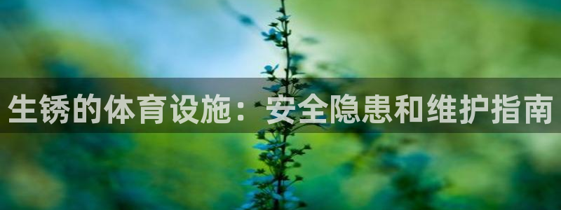 意昂3集团：生锈的体育设施：安全隐患和维护指南