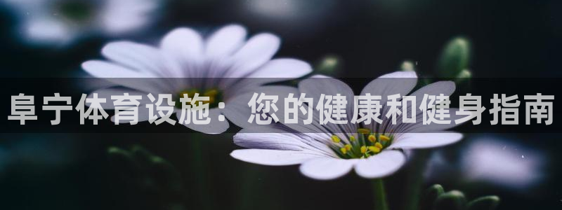 意昂体育3招商电话地址：阜宁体育设施：您的健康和健身