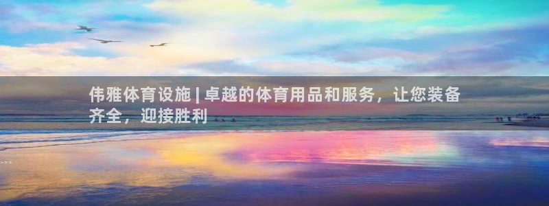 意昂体育3招商：伟雅体育设施 | 卓越的体育用品和服