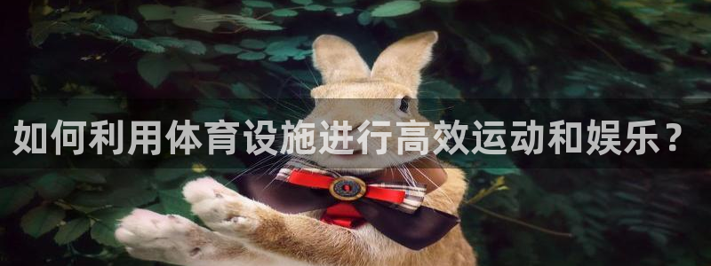 意昂体育3招商