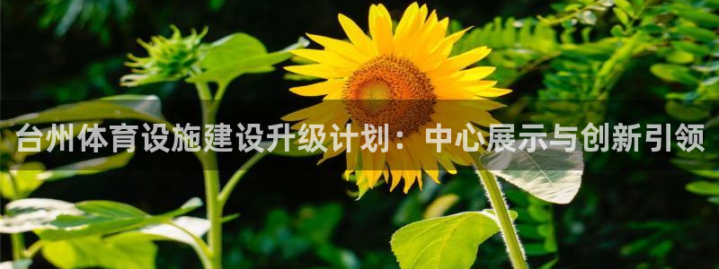 意昂体育3平台是正规平台吗