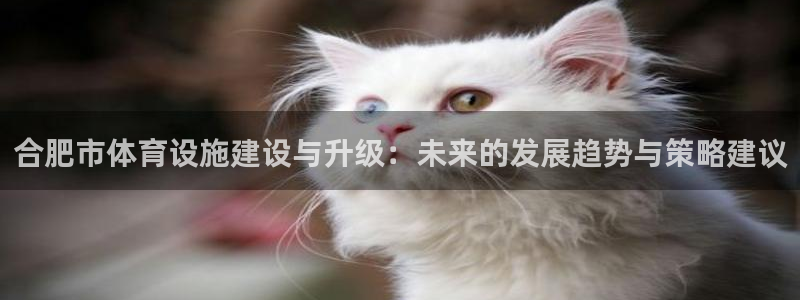意昂体育3招商电话地址