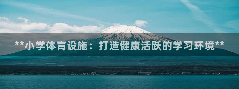 意昂3新能源：**小学体育设施：打造健康活跃的学习环境**