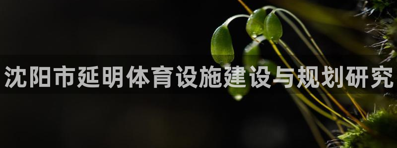 意昂体育3娱乐
