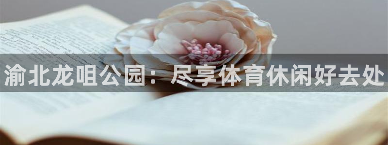 意昂体育3招商电话：渝北龙咀公园：尽享体育休闲好去处