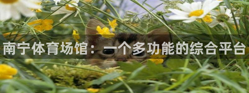 意昂体育3平台注册要钱吗是真的吗：南宁体育场馆：一个