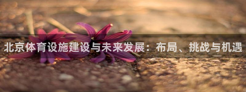 意昂3集团简介：北京体育设施建设与未来发展：布局、挑