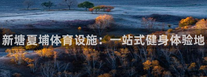 意昂3五金厂：新塘夏埔体育设施：一站式健身体验地