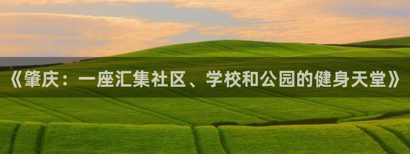 意昂3集团官网网址：《肇庆：一座汇集社区、学校和公园