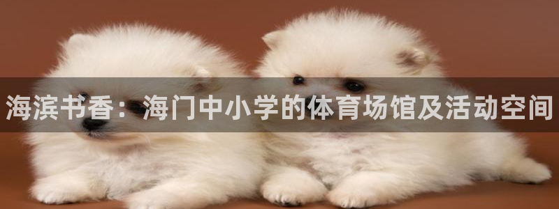 意昂体育3平台假的吗是真的吗：海滨书香：海门中小学的体育场馆