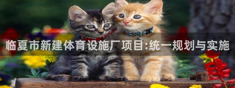 海南意昂体育3：临夏市新建体育设施厂项目:统一规划与