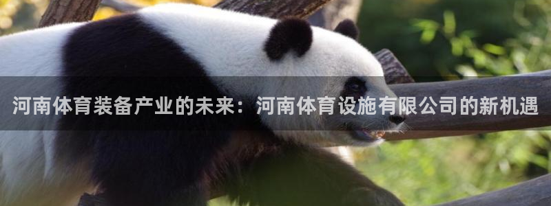 意昂3开户：河南体育装备产业的未来：河南体育设施有限