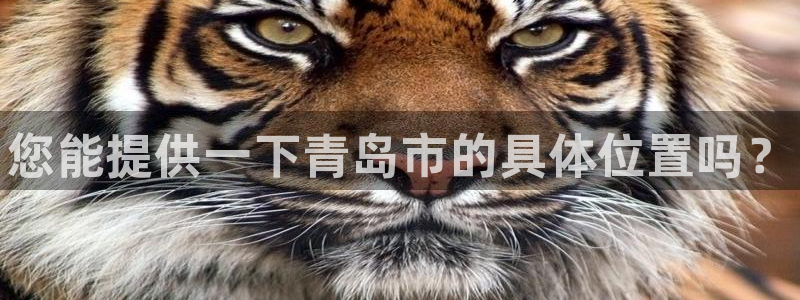意昂体育3招商电话号码：您能提供一下青岛市的具体位置