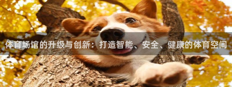 意昂体育3招商电话号码是多少啊：体育场馆的升级与创新