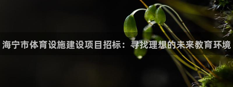 意昂体育3平台注册流程图：海宁市体育设施建设项目招标：寻找理