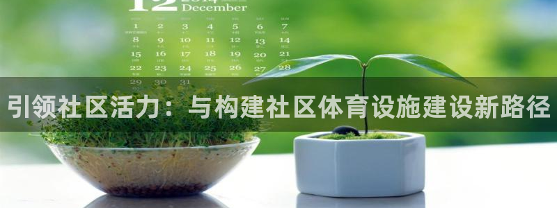 意昂3官方：引领社区活力：与构建社区体育设施建设新路径