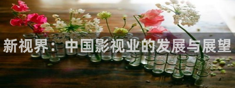 宅男视频污：新视界：中国影视业的发展与展望