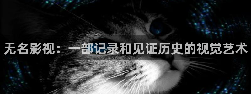宅男视频,：无名影视：一部记录和见证历史的视觉艺术