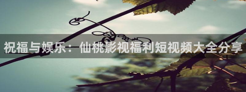 宅男视频免费播放：祝福与娱乐：仙桃影视福利短视频大全分享