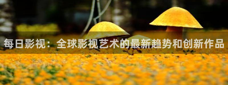 午夜宅男视频在线观看：每日影视：全球影视艺术的最新趋势和创新作品