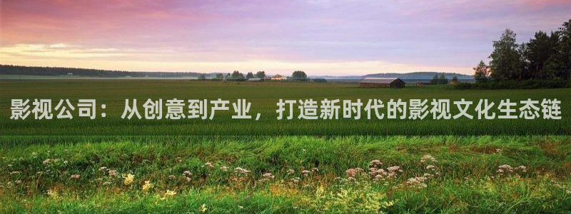 宅男视频免费观看下载：影视公司：从创意到产业，打造新时代的影视文化生态链