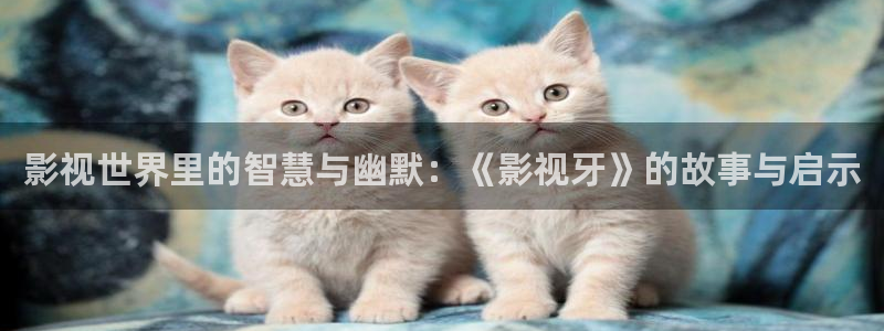 ,宅男视频：影视世界里的智慧与幽默：《影视牙》的故事与启示
