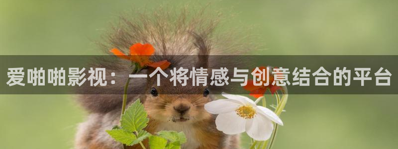 www.宅男视频：爱啪啪影视：一个将情感与创意结合的平台