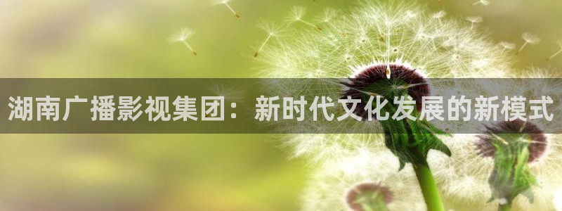 .宅男视频：湖南广播影视集团：新时代文化发展的新模式