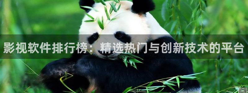 宅男视频网：影视软件排行榜：精选热门与创新技术的平台